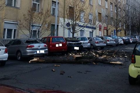 A síneken rekedt egy utasokkal teli vonat, fa dőlt a Hidegkúti útra – sűrű a reggel a tűzoltóknak
