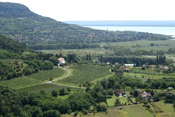 Azon akadt ki, hogy a háza elé parkoltak a Balatonnál, nekiesett az autónak