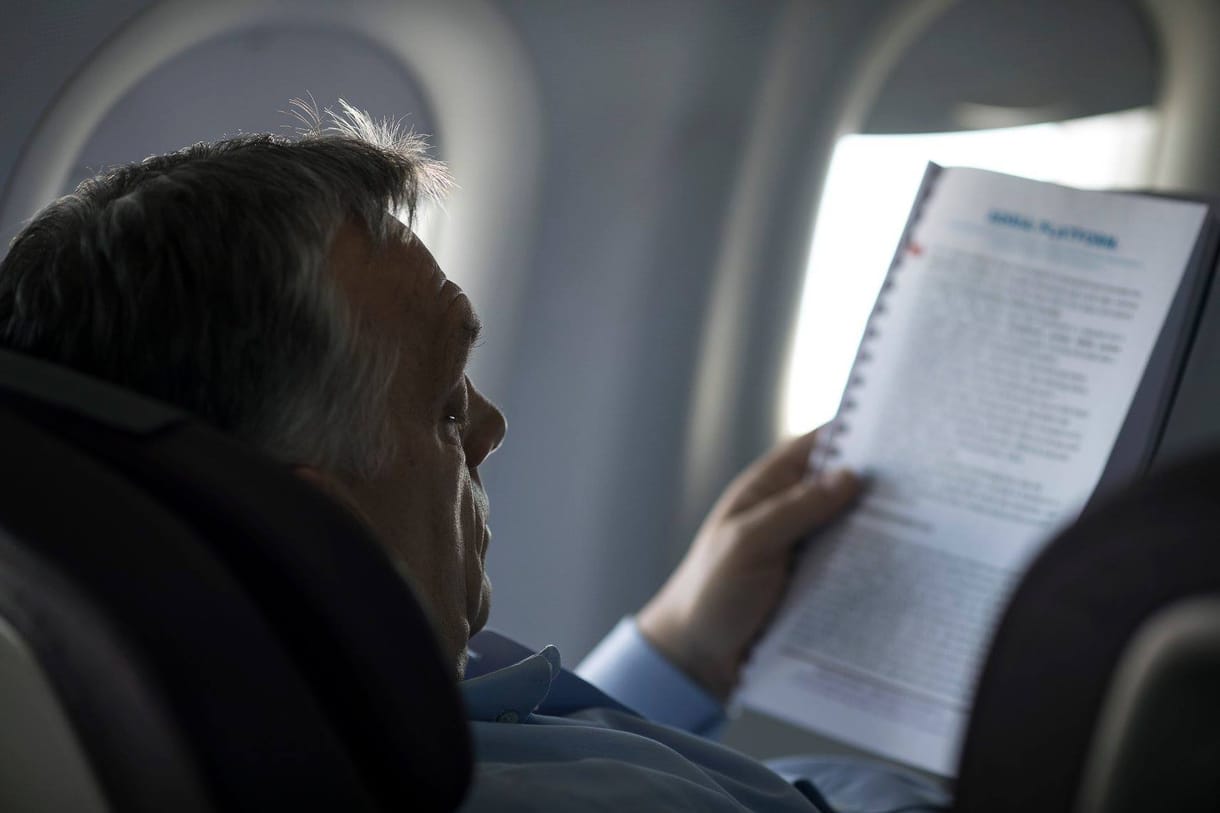 Nincs itthon Orbán, cincognak az egerek?