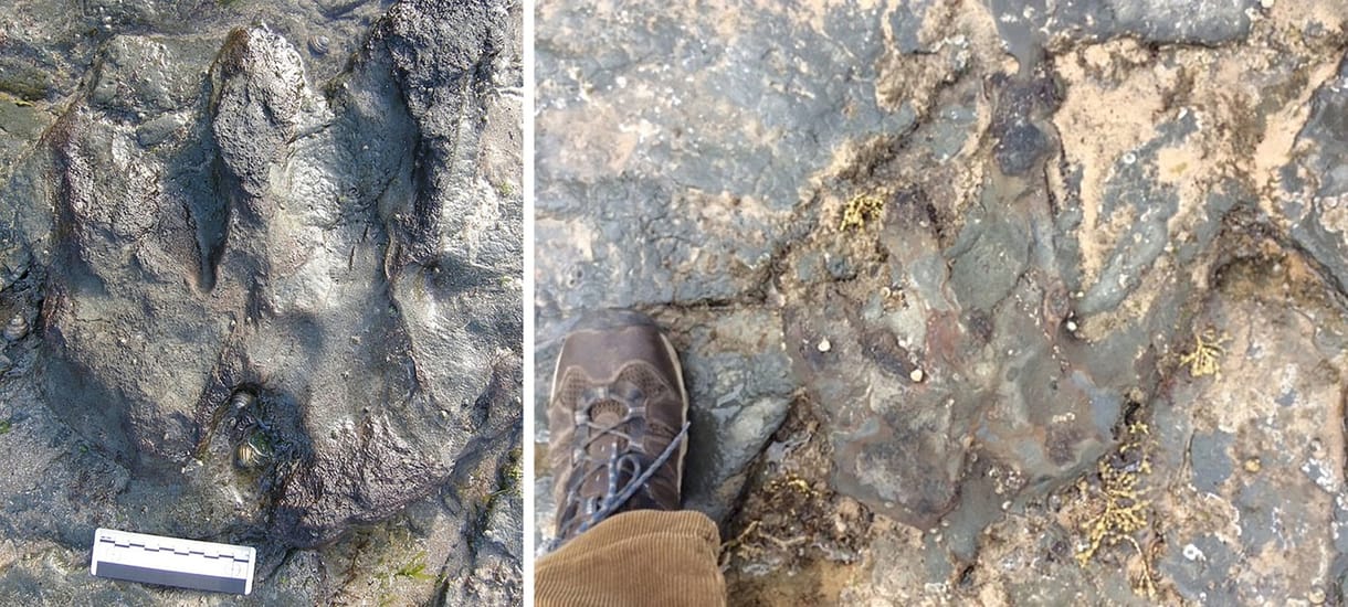 Kalapáccsal mentek neki egy értékes dinoszaurusz-lábnyomnak Ausztráliában – fotó