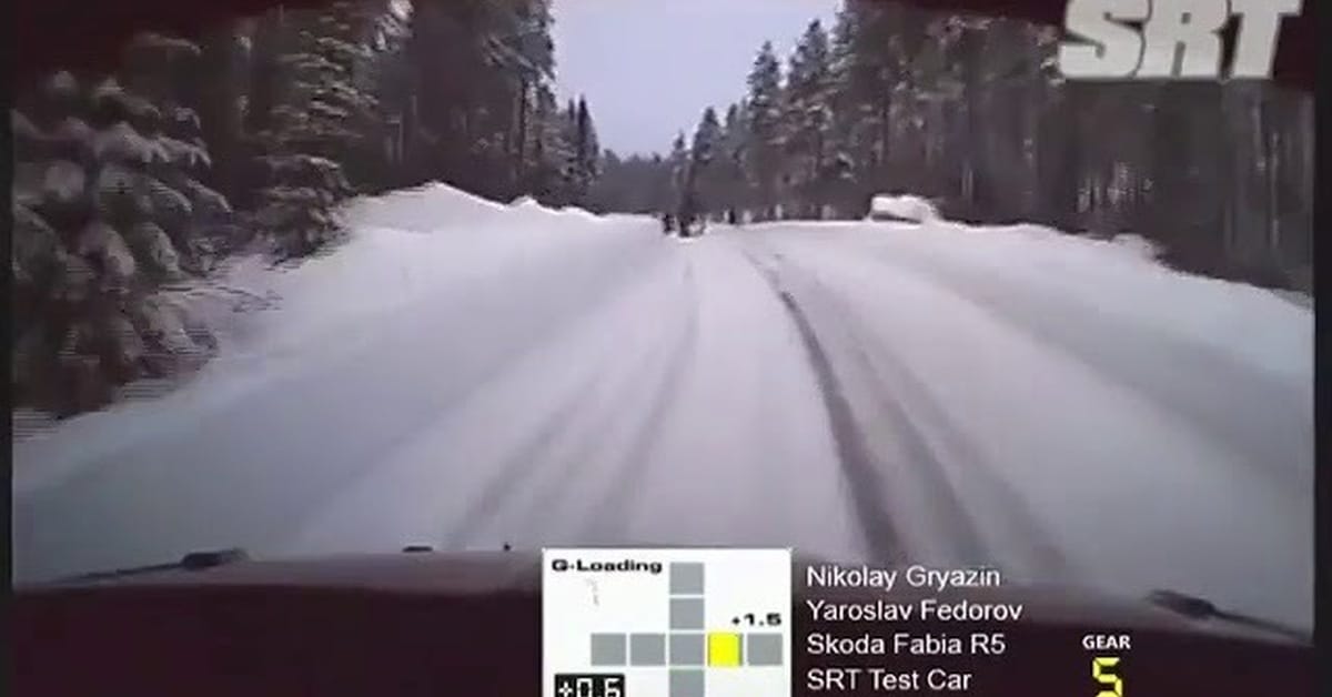 Videó: 160-nal tesztelt a ralis az erdőben, amikor felbukkant két ácsorgó jávorszarvas