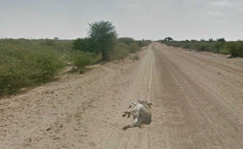 A Google Street View legsokkolóbb képei