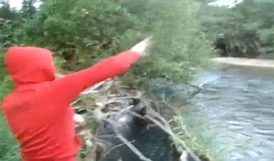 Videó: állatkínzó kislány sokkolja a világot