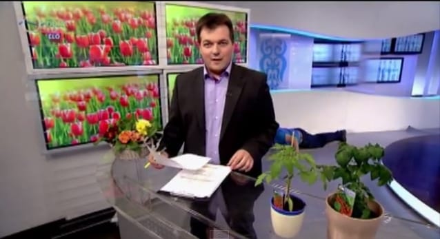 Mostantól semmi sem lesz olyan, mint régen: megszűnik a Kívánságkosár
