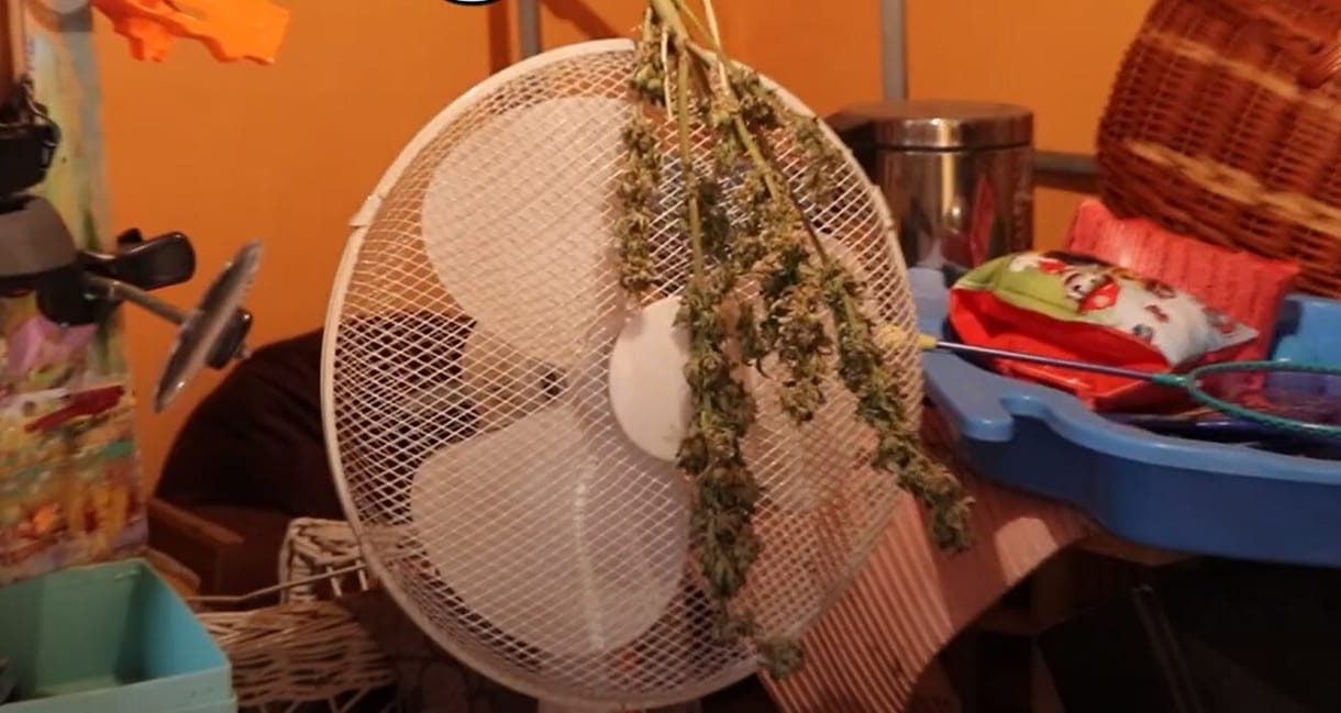 Hat kiló fűvel bukott le egy újpesti termelő, akit valaki feldobott