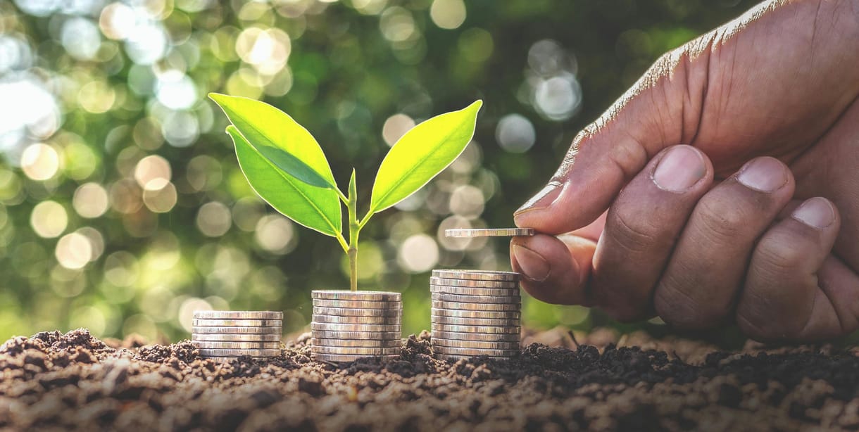 Csak ESG-kompatibilis cégek részvényeivel dolgozó befektetési alapot keres? Sok választása nincs