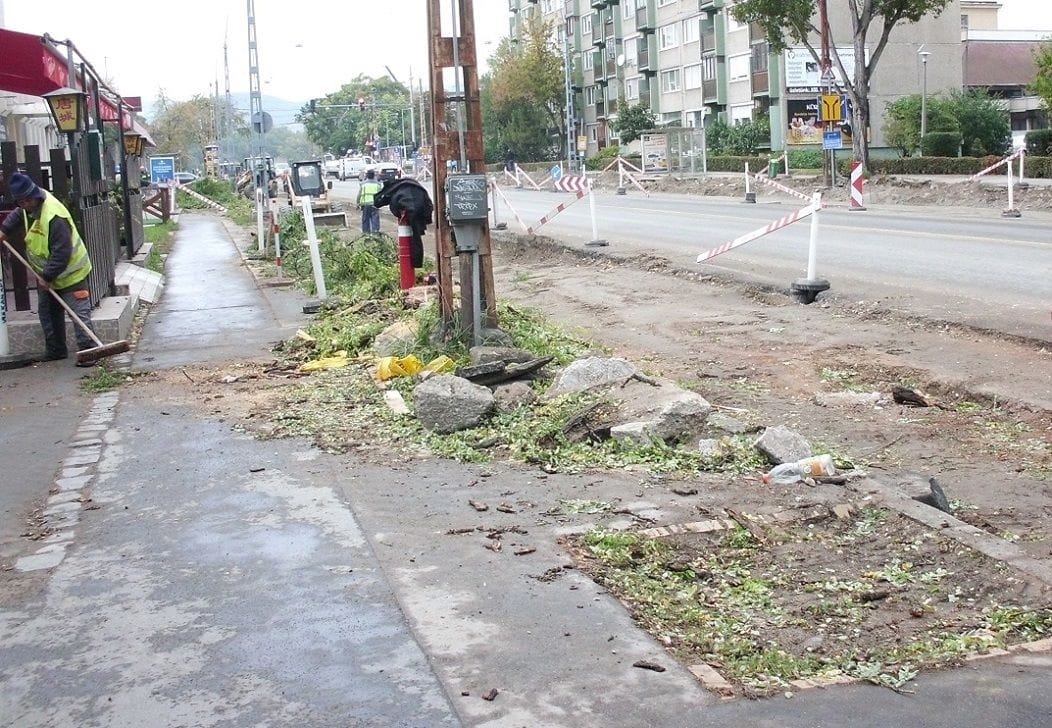 Puccsszerűen letarolták a fákat a XIII. kerületben