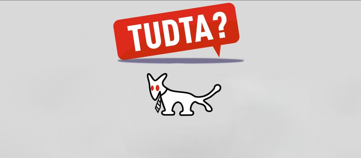 A Kutyapárt félezer tagjának adatai kerültek ki a netre, hónapokig tartott rendet rakni