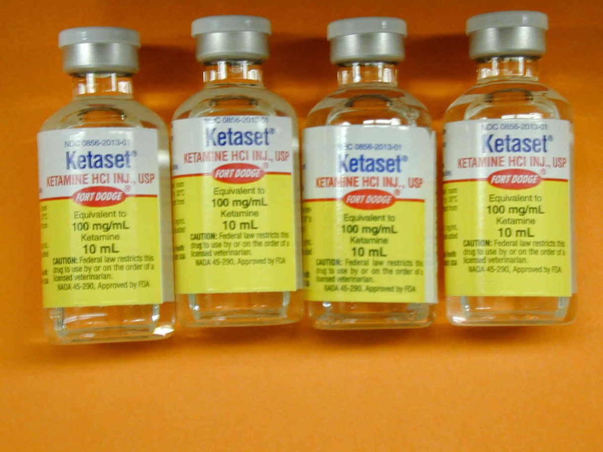 Fegyházra ítélték a ketamin kereskedőket