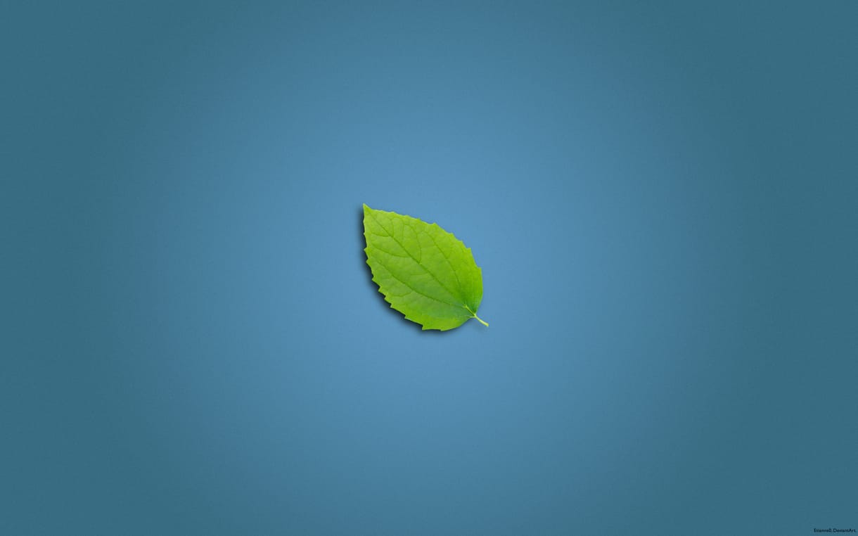 Mai háttérkép: Leaf Wall