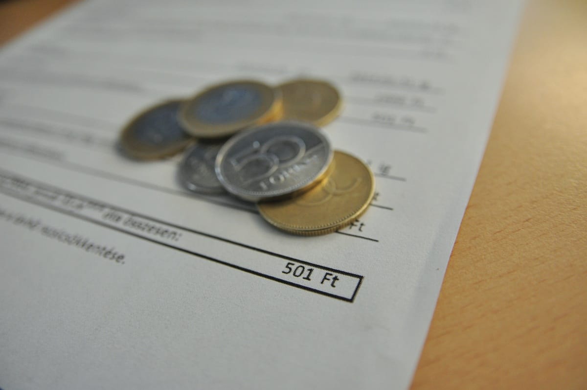 Negyven forintot spórolt a rezsiharc citromdíjasa