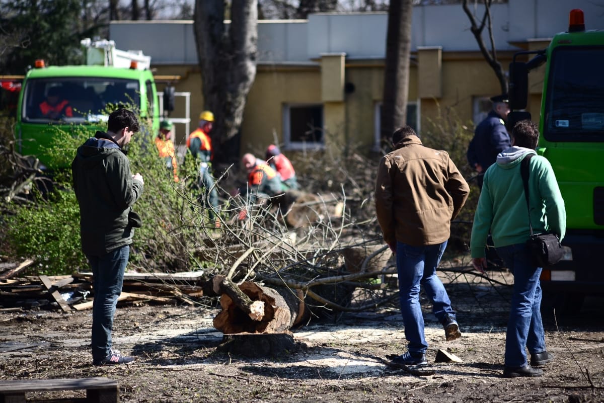 A Liget-projekt elleni tiltakozás összehozta Szörényit és Bródyt