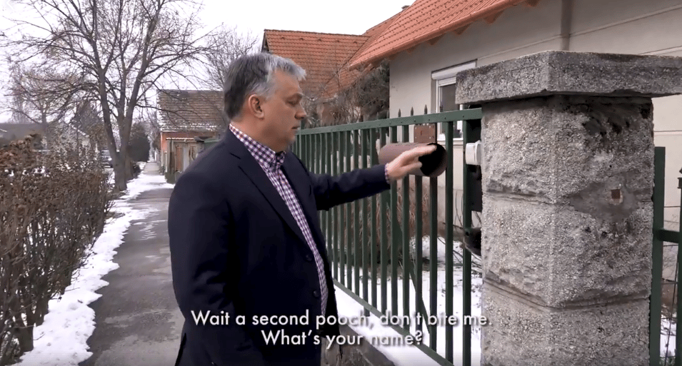 Ha kampányolni kell, Orbán a németjuhásztól sem fél