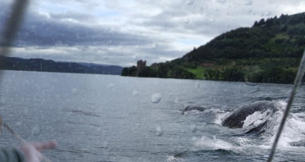 A nap videója: felkerült a Loch Ness-i szörny testvére