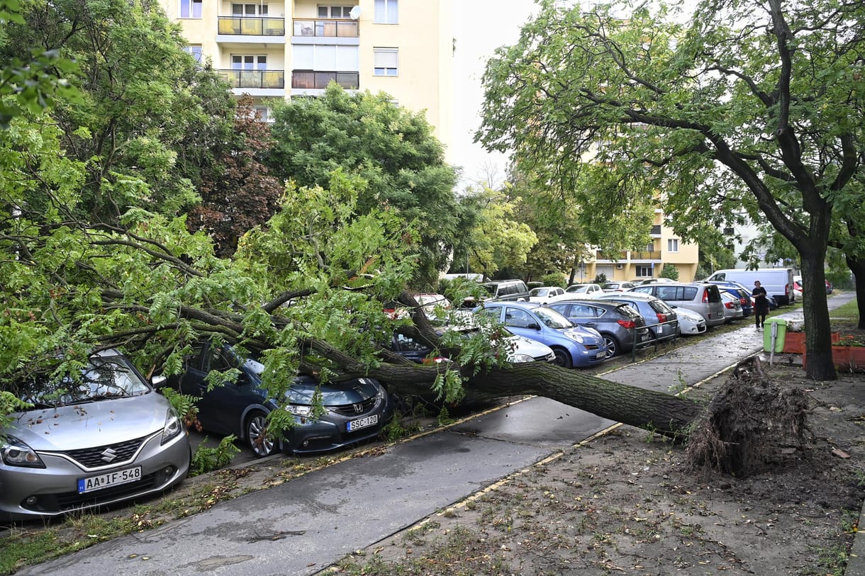 Ezt hagyta maga után a vihar Budapesten - galéria