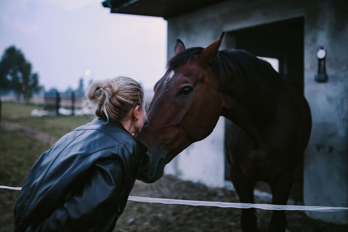 Kutatók kipróbálták, hogy reagálnak a lovak, ha úgy beszélnek hozzájuk, mint a kisgyerekekhez