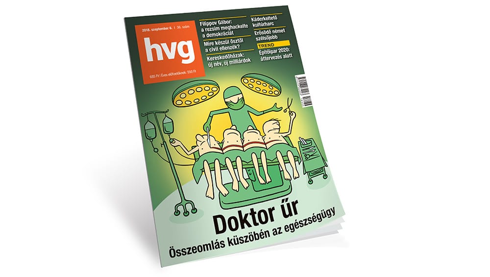 Kocsis Györgyi: A kábítás trükkje