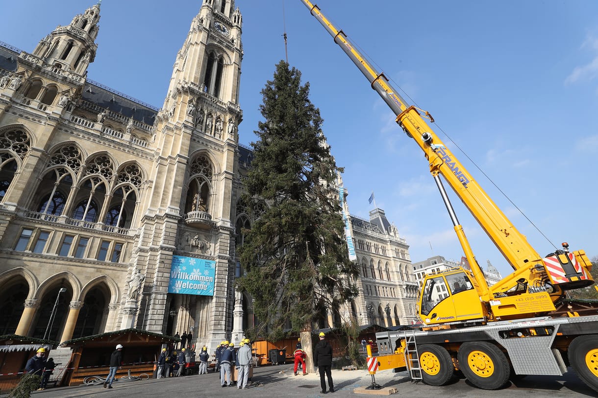 Bécsben csupasz májusfának nevezik a fanyalgók az ajándék óriás karácsonyfát