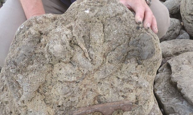 Az utolsó dinoszauruszok lábnyomait fedezték fel Dover közelében