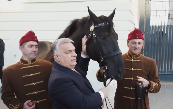 Megérkezett Törökországba Főúr, a ló, amit Orbán ajándékozott Erdogannak
