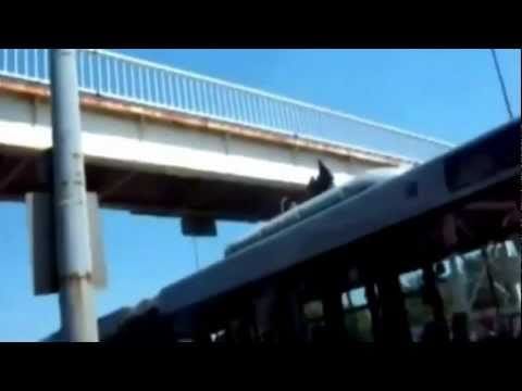 Videó: felüljáróról ugrott a 139-es buszra 