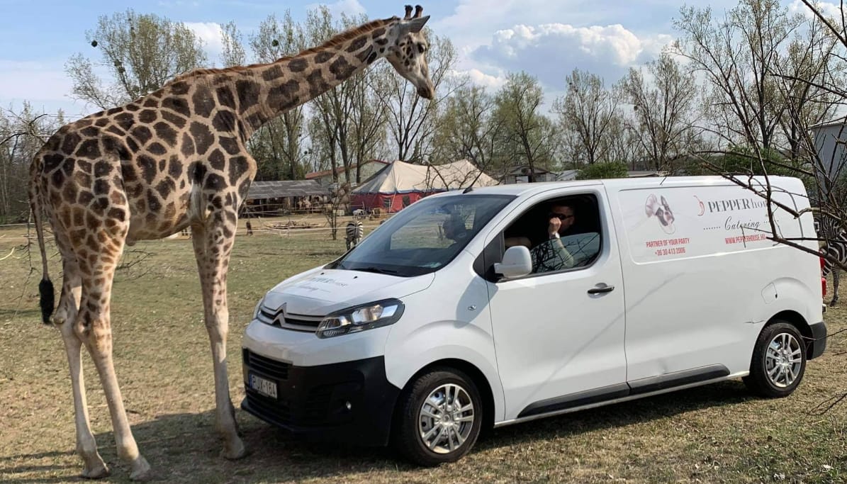 Május 1-én megnyílik az első magyar autós szafaripark