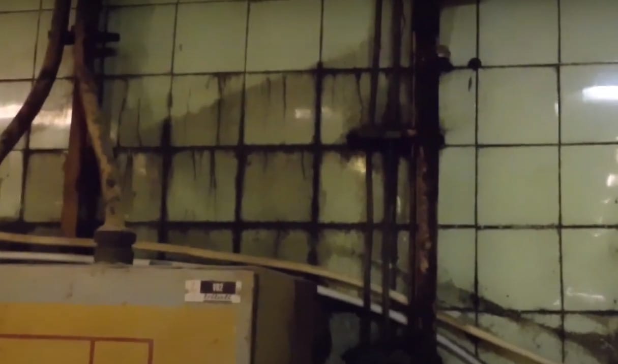 Gyomorforgató állapotok uralkodtak a csongrádi sütőüzemben, bezáratta a Nébih – videó