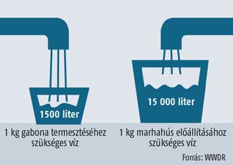 Víz-világtalálkozó kezdődik Budapesten