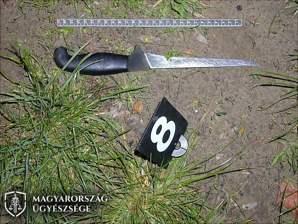 22 évvel ezelőtt majdnem meggyilkolt egy nőt, 15 évvel később bukott le egy bombariadóval