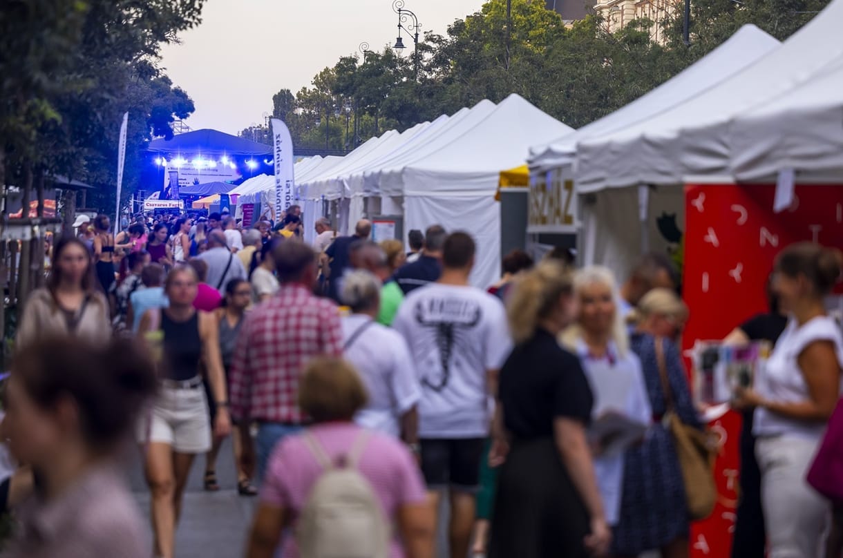 TE!Feszt – ahol az utca színpad, és a kultúra mindenkié