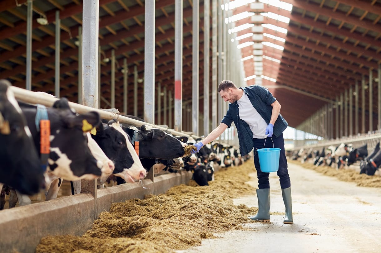 Megalapozná agrárvállalkozása további sikereit? Mutatjuk, milyen lehetőségei vannak
