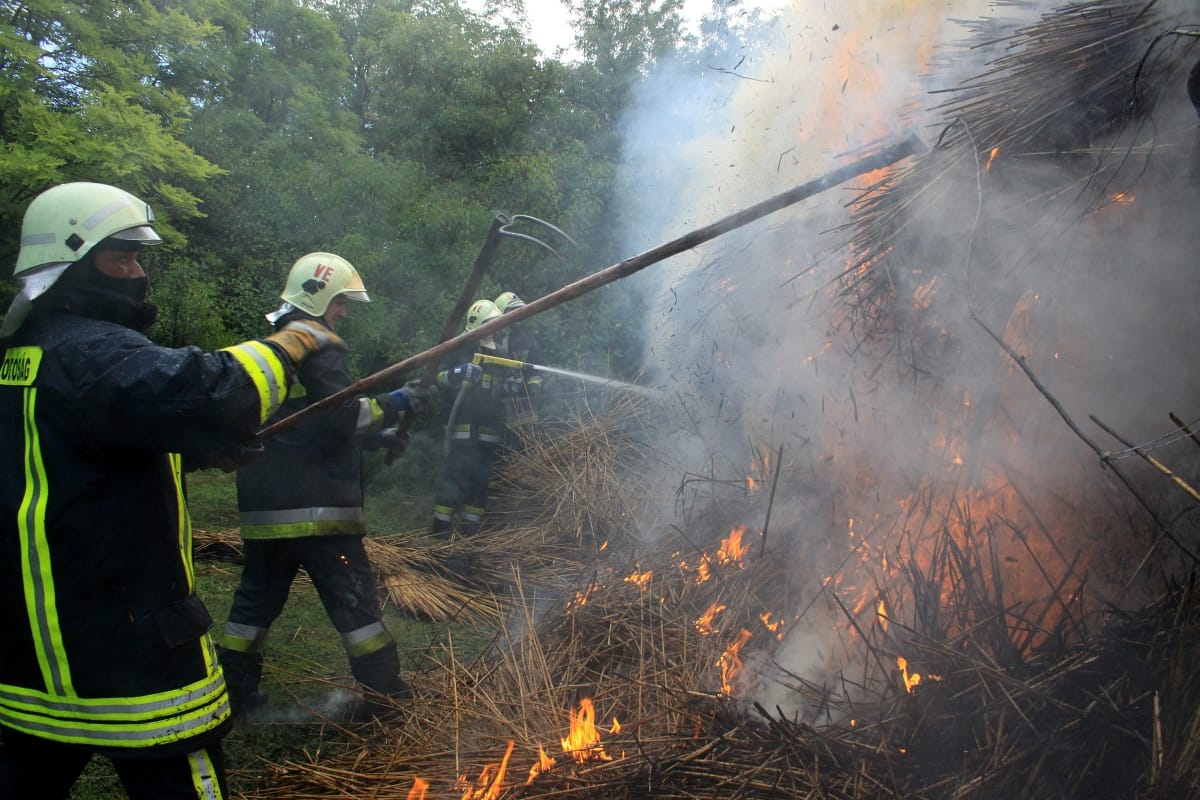 Ég a fenyőerdő Sóskútnál
