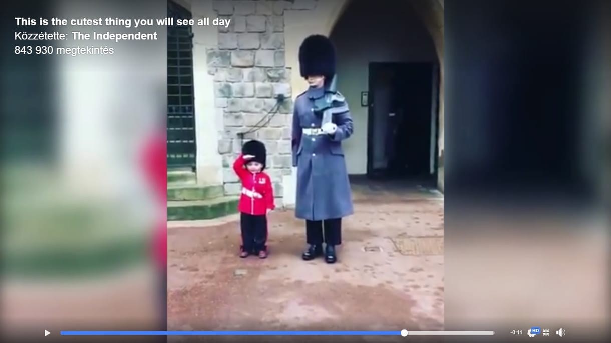 A négyéves royalista kisfiú megkapta élete legjobb szülinapi ajándékát