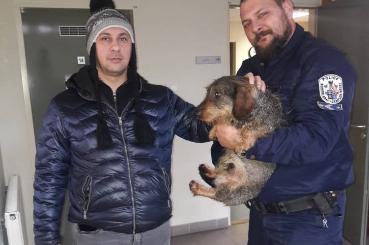 Szökött tacskót mentettek ki a Tiszából a rendőrök
