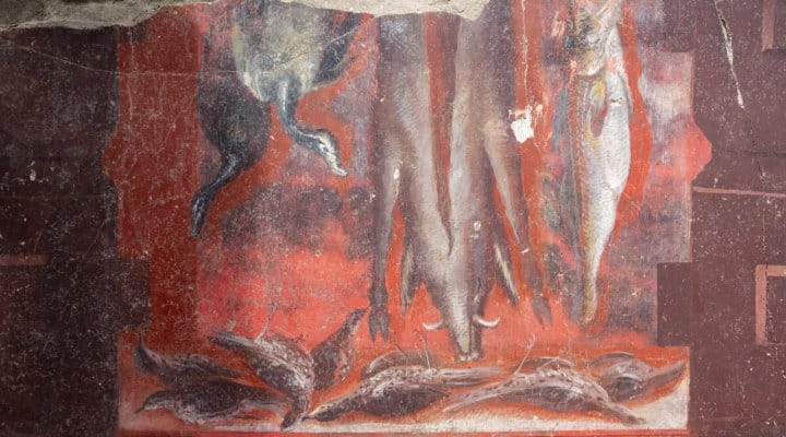 1946 évvel a pompeji katasztrófa után derült ki, mit ettek az ott élők