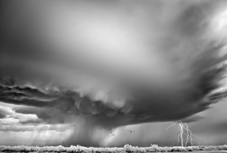 Megvannak a Sony World Photography Awards 2012 győztesei!