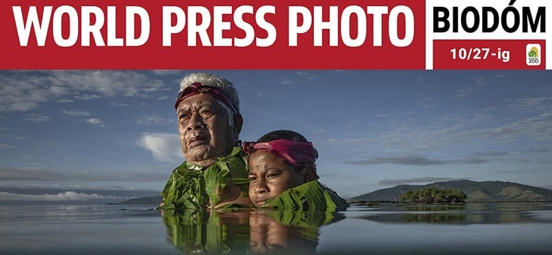 Már látogatható a World Press Photo idei tárlata!