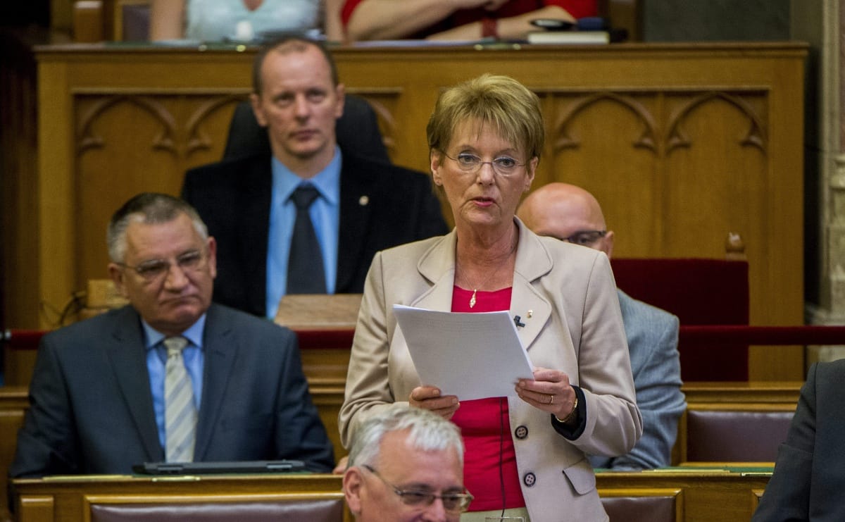 Hoffmann Rózsa a CEU-ról: eddig is jártak magyar fiatalok bécsi egyetemekre