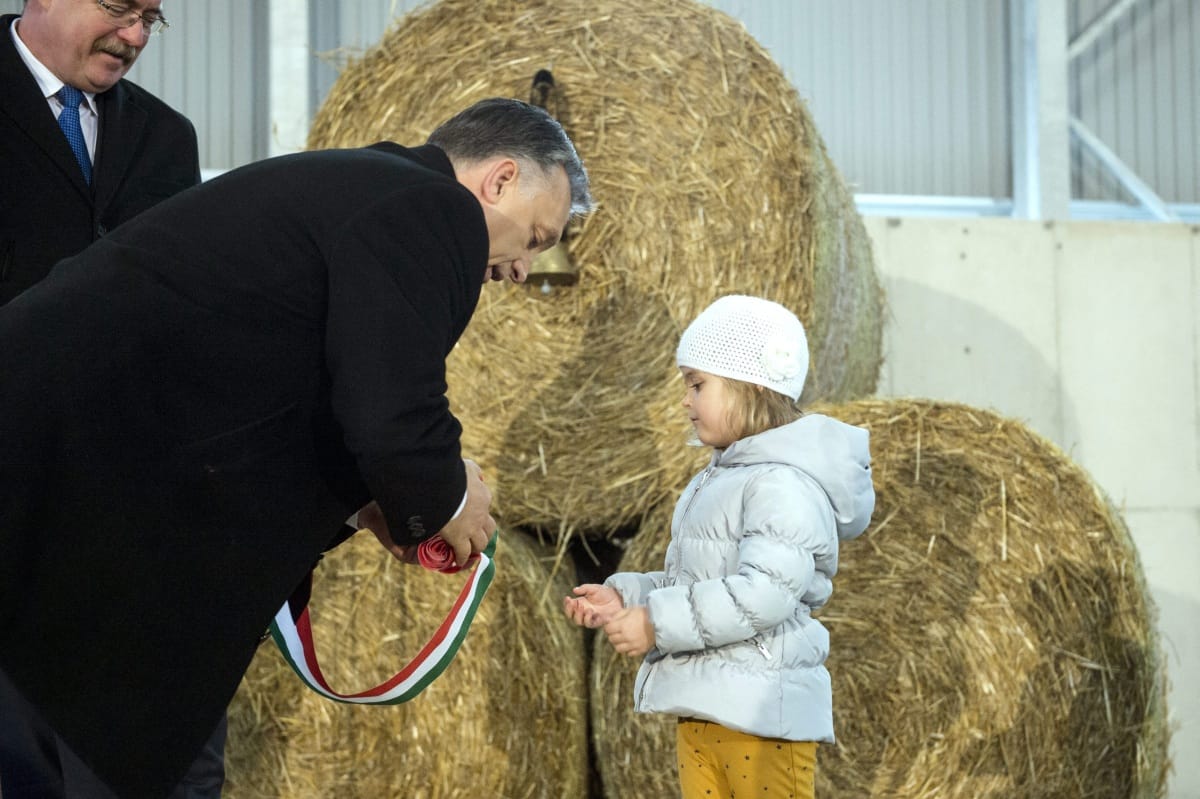Nem engedték be az RTL-t Orbán malacátadására