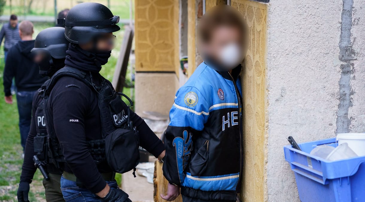 Szüret után csaptak le a rendőrök egy nógrádi marihuánaültetvényre