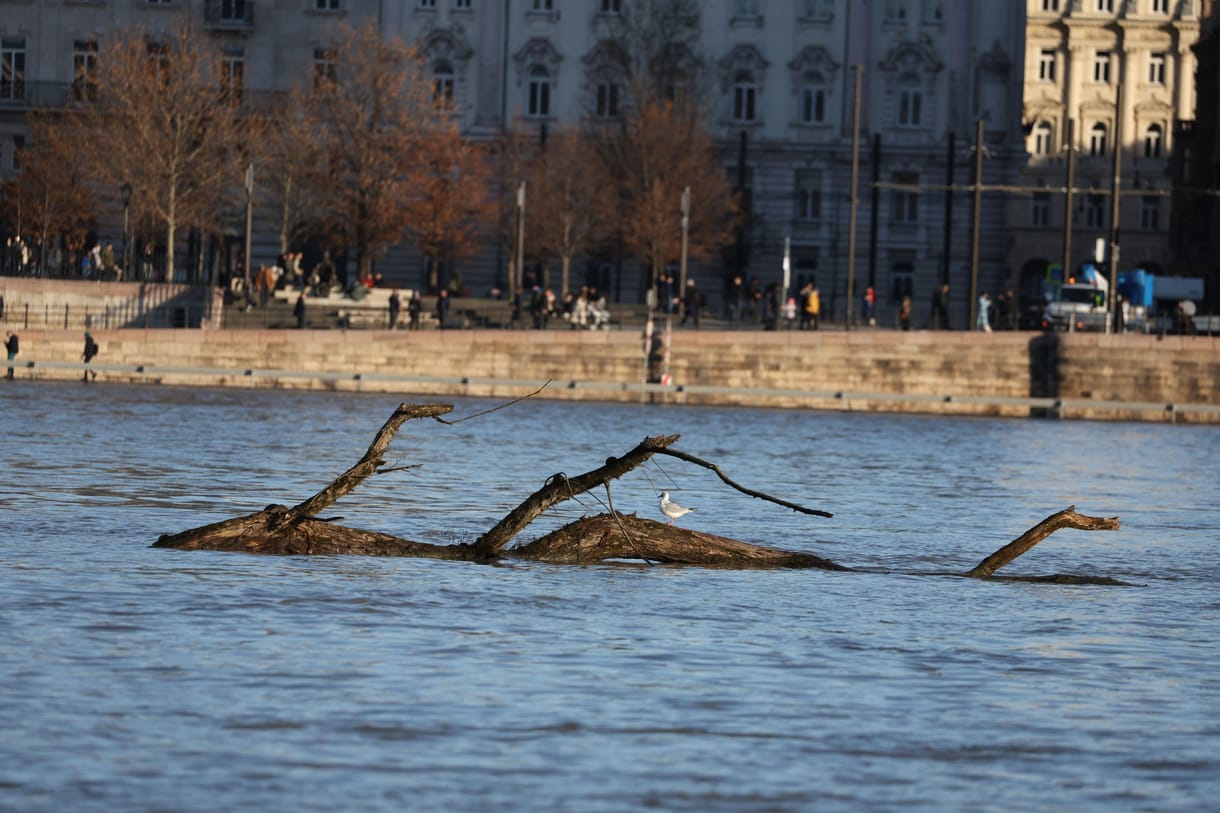 Már 500 kilométeren van árvízi készültség, Budapesten szombaton tetőzik a Duna