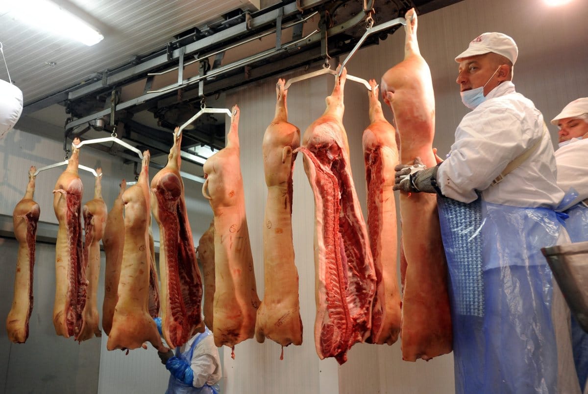 Évszázados márkák őrzik a vállalkozásokat