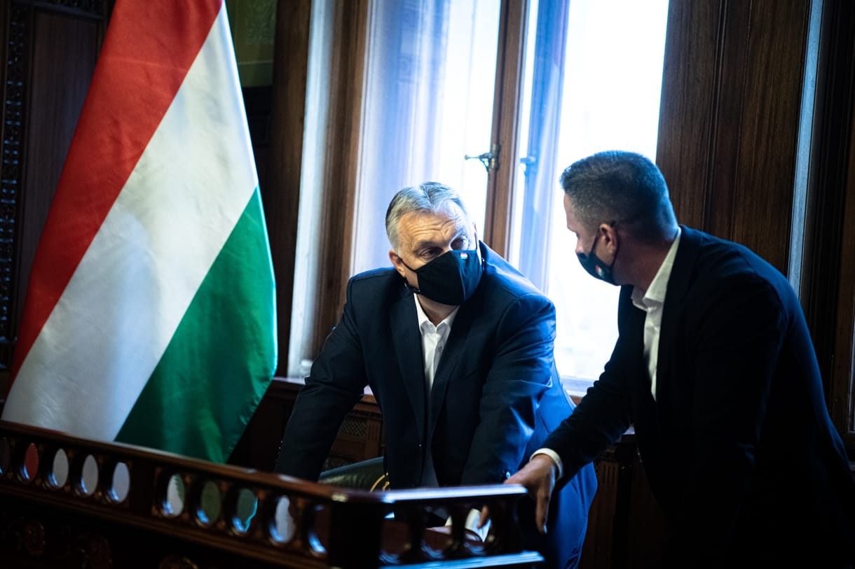 Börtönbe zárná az állatkínzókat az állatvédelem miniszteri biztosa