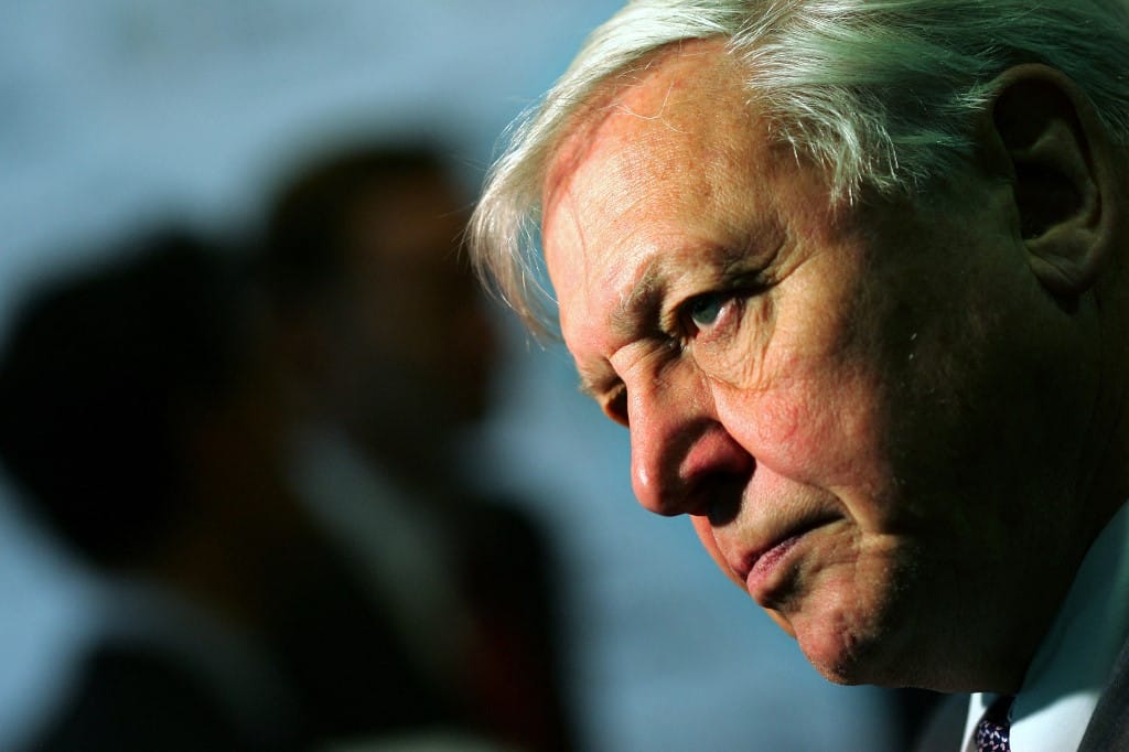 Királyi kitüntetést kapott David Attenborough