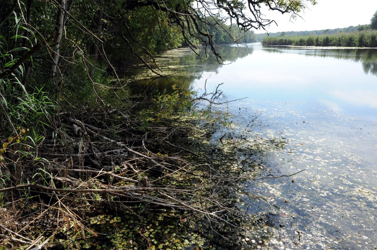 Illegális terepjáróversennyel zúztak szét több Natura 2000-es területet