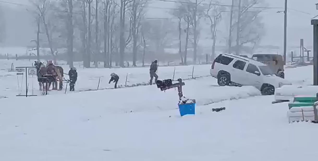 Jól jött a két valódi lóerő a havazásban árokba csúszott terepjárósnak – videó