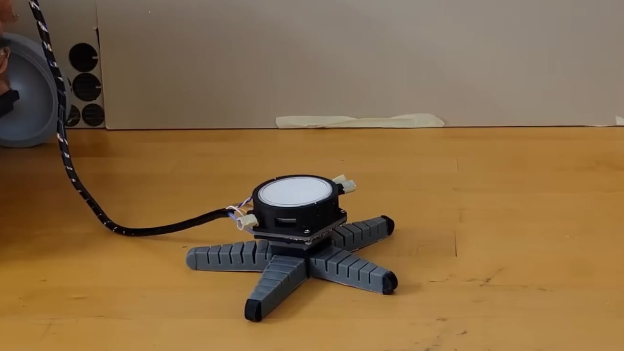 Robottestet adtak egy ehető gombának, mire az elkezdett mászni vele – furának tűnik, de hasznos lehet a felfedezés (videó)