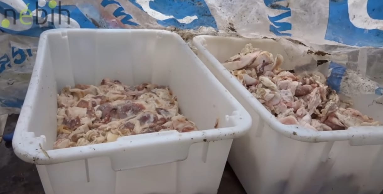 Elképesztően undorító húsboltot zárattak be Tolna megyében – videó