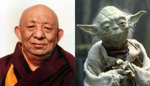 Megtalálhatták a szerzetest, akiről Yoda mestert formázták - fotó