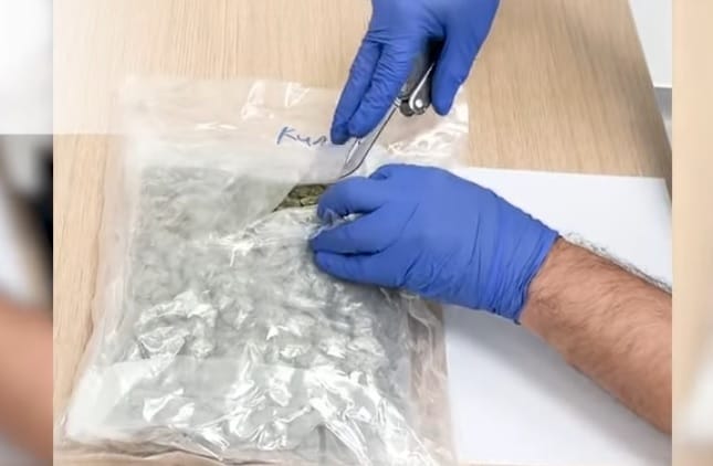 Negyedmilliárdos kannabiszszállítmányra csapott le a NAV Ferihegyen